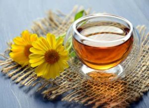 Hierbas aromáticas y condimentarias